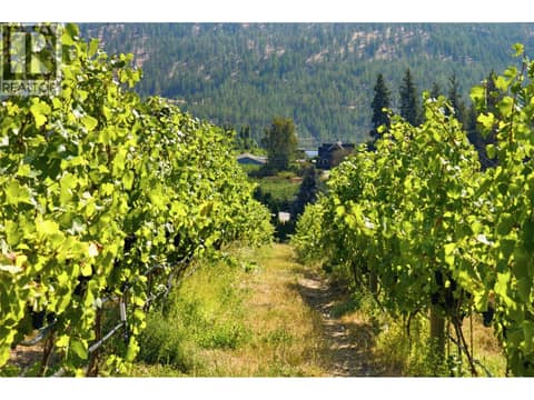 Photo 6 of 6007 Giants Head Road, Main Town, Summerland