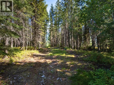 Build Site at 4151 Thomas Road, South Hwy 95, Golden