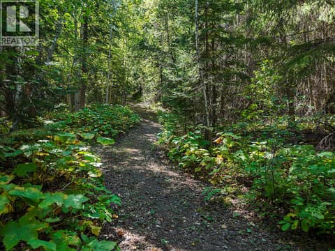 Walk/ski Trails at 4151 Thomas Road, South Hwy 95, Golden