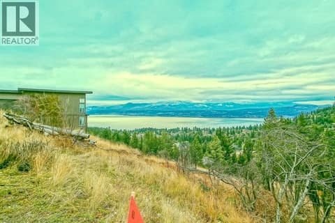 Trees removed VIRTUALLY at 10751 Westshore Road, Okanagan North, Vernon