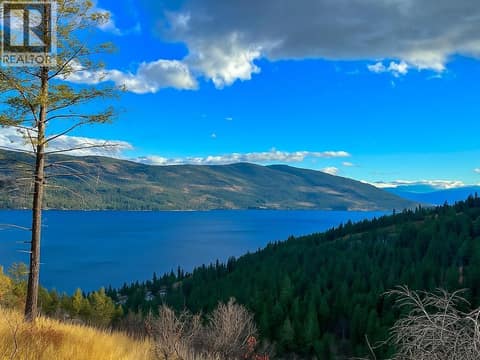 Trees removed VIRTUALLY at 10751 Westshore Road, Okanagan North, Vernon