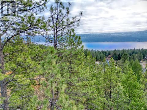 View toward South East at 10751 Westshore Road, Okanagan North, Vernon