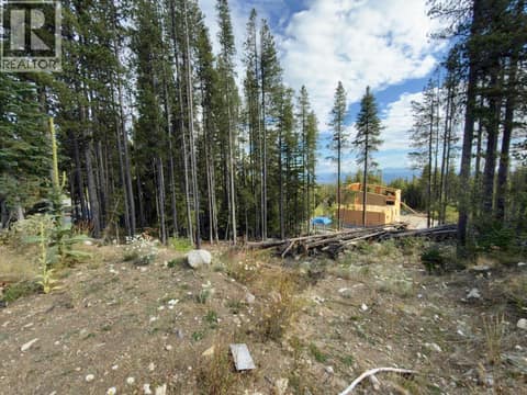Photo 20 of 300 COUGAR Road, Oliver Rural