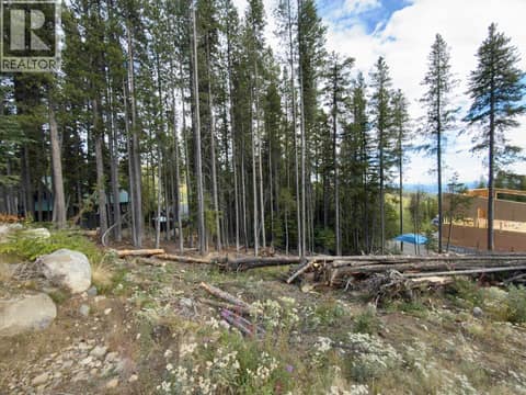 Photo 22 of 300 COUGAR Road, Oliver Rural