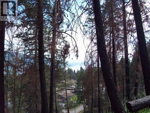 Top of lot at 58 Homer Crescent, Okanagan North, Vernon