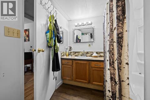 LOWER LEVEL BATHROOM at 3490 Paynter Road, Westbank Centre, West Kelowna