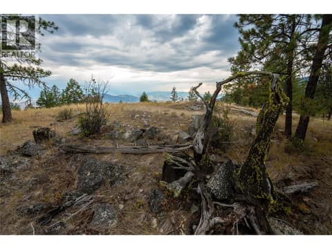 Photo 16 of LOT B Grizzly Place, Osoyoos Rural