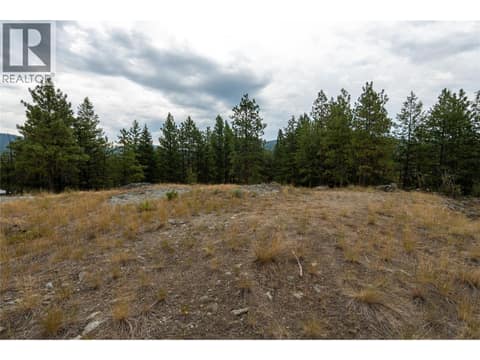Photo 19 of LOT B Grizzly Place, Osoyoos Rural