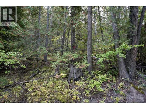 Photo 6 of 1937 Lumby Mabel Lake Road, Lumby Valley