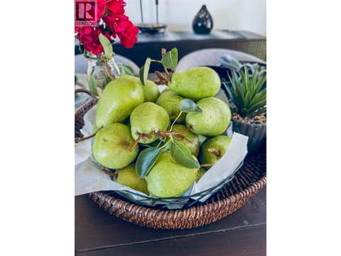 Pear tree at 1113 Mt Fosthall Drive, Middleton Mountain Vernon
