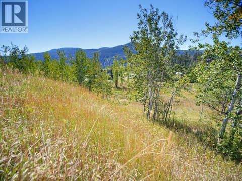 Photo 7 of PINANTAN PRITCHARD Road Lot# PARCEL A, Pinantan, Kamloops