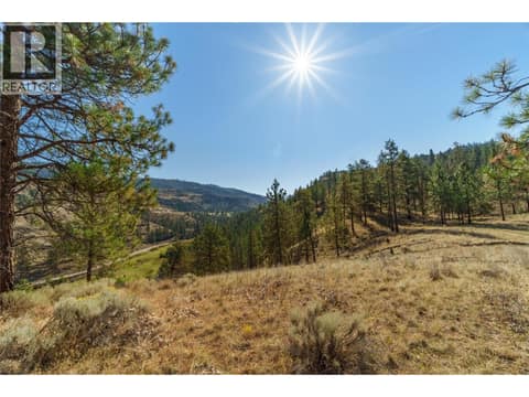 Photo 13 of PRPSD LT 1 47 Street, Kaleden/Okanagan Falls Rural