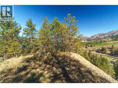 Photo 6 of PRPSD LT 1 47 Street, Kaleden/Okanagan Falls Rural