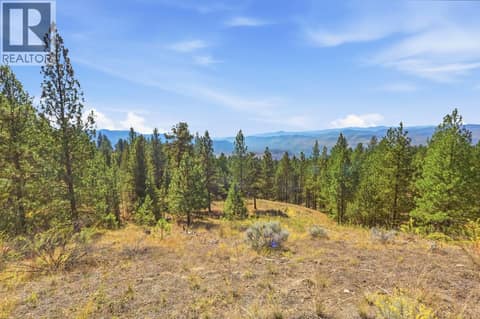 Photo 13 of 12 MULE DEER Point, Osoyoos Rural