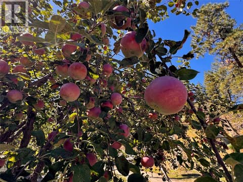 Photo 37 of 199 FARLEIGH LAKE Road, Penticton Rural