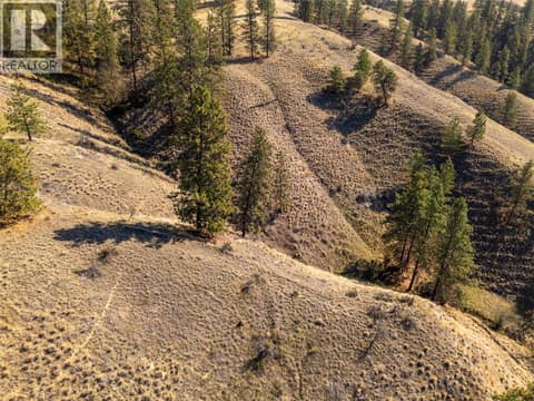 Photo 42 of PRPSD LT 2 47 Street, Kaleden/Okanagan Falls Rural