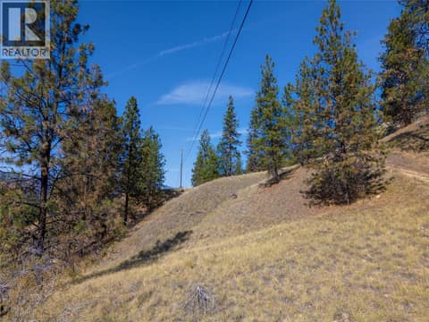 Photo 50 of PRPSD LT 2 47 Street, Kaleden/Okanagan Falls Rural