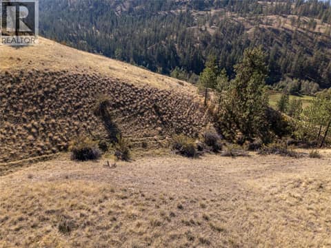 Photo 57 of PRPSD LT 2 47 Street, Kaleden/Okanagan Falls Rural