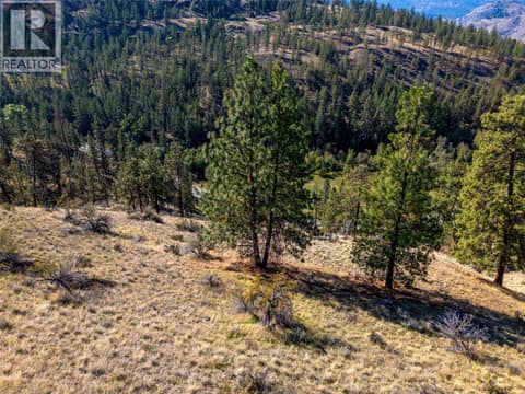 Photo 60 of PRPSD LT 2 47 Street, Kaleden/Okanagan Falls Rural