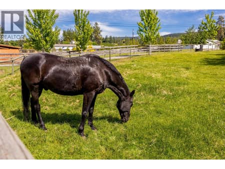Photo 6 of 4284 Jaud Road, South East Kelowna