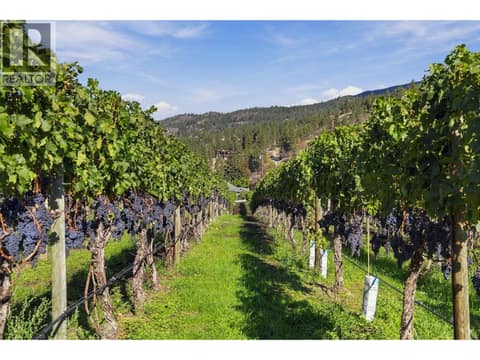 Photo 4 of 1060 King Drive, Naramata Rural