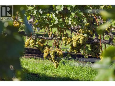 Photo 7 of 1060 King Drive, Naramata Rural