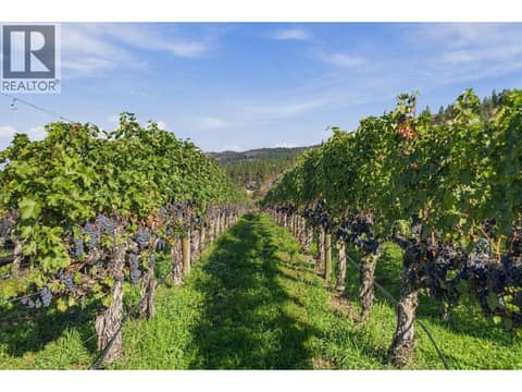 Photo 9 of 1060 King Drive, Naramata Rural
