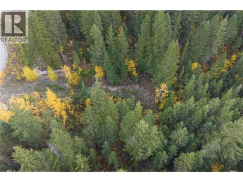 Photo 10 of 1260 WHITETAIL Drive, South Hwy 95, Golden