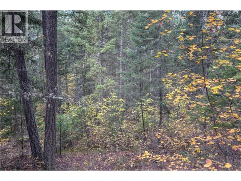 Photo 11 of 1260 WHITETAIL Drive, South Hwy 95, Golden