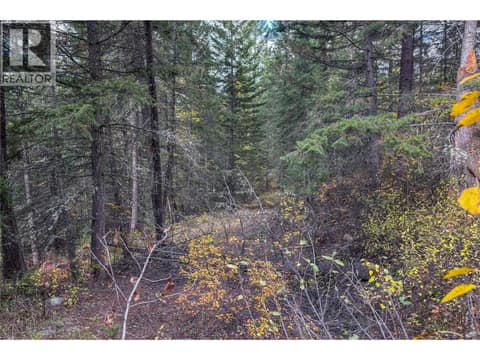 Photo 12 of 1260 WHITETAIL Drive, South Hwy 95, Golden