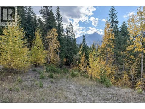 Photo 2 of 1260 WHITETAIL Drive, South Hwy 95, Golden