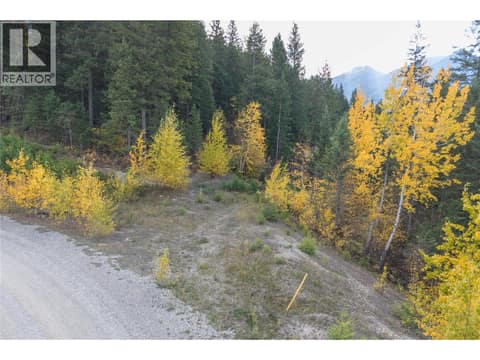 Photo 4 of 1260 WHITETAIL Drive, South Hwy 95, Golden