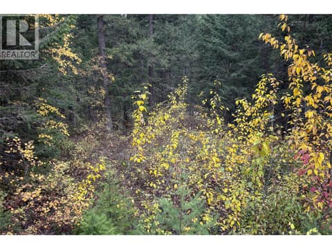 Photo 8 of 1260 WHITETAIL Drive, South Hwy 95, Golden