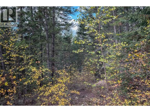 Photo 9 of 1260 WHITETAIL Drive, South Hwy 95, Golden