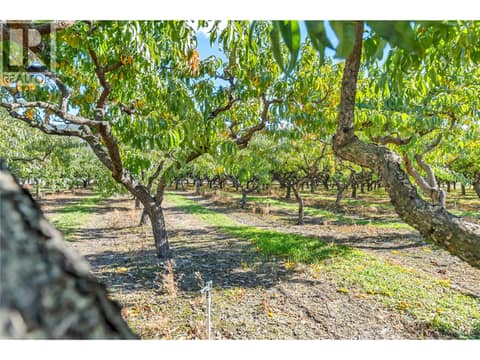 Photo 44 of 235 Middle Bench Road N, Uplands/Redlands, Penticton