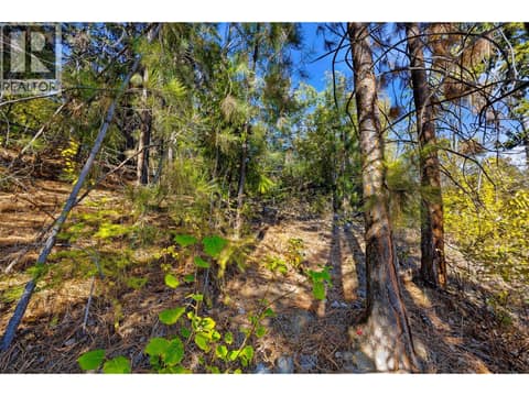 Patio & Backyard Space | Main Level Private backyard space with walking path on the .5 acre behind the home! at 3220 McIver Road, Glenrosa, West Kelowna