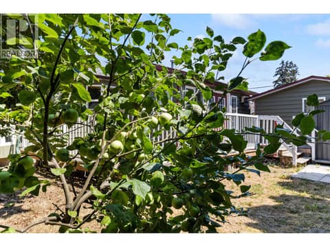 Photo 38 of 925 Sutherland Avenue, Kelowna South