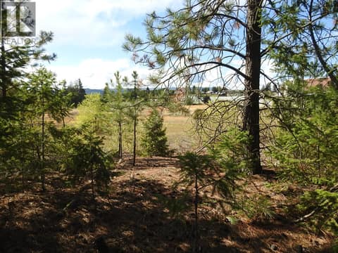 Photo 27 of Lot 43 Silver Star Road, North BX, Vernon