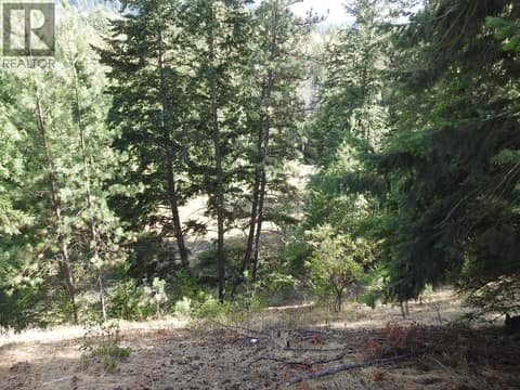 Photo 29 of Lot 43 Silver Star Road, North BX, Vernon