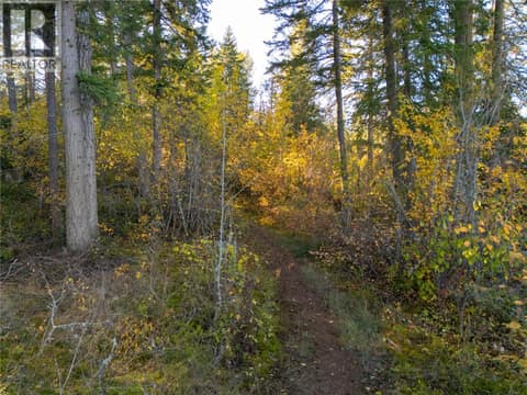 Photo 25 of 190 Twin Lakes Road, Enderby / Grindrod