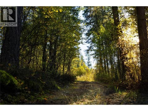 Photo 4 of 190 Twin Lakes Road, Enderby / Grindrod