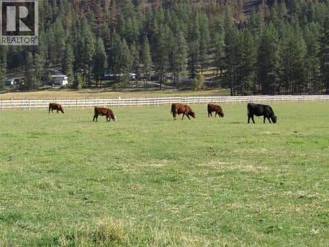 Photo 83 of 855 Fish Lake Road, Summerland Rural
