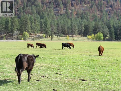 Photo 87 of 855 Fish Lake Road, Summerland Rural