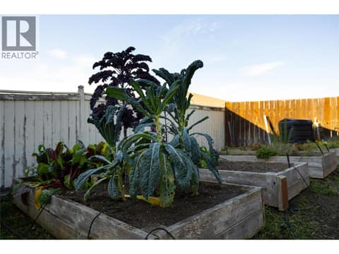 Room to grow your own food! Drip lines in place at 4004 Pleasant Valley Road, Harwood, Vernon